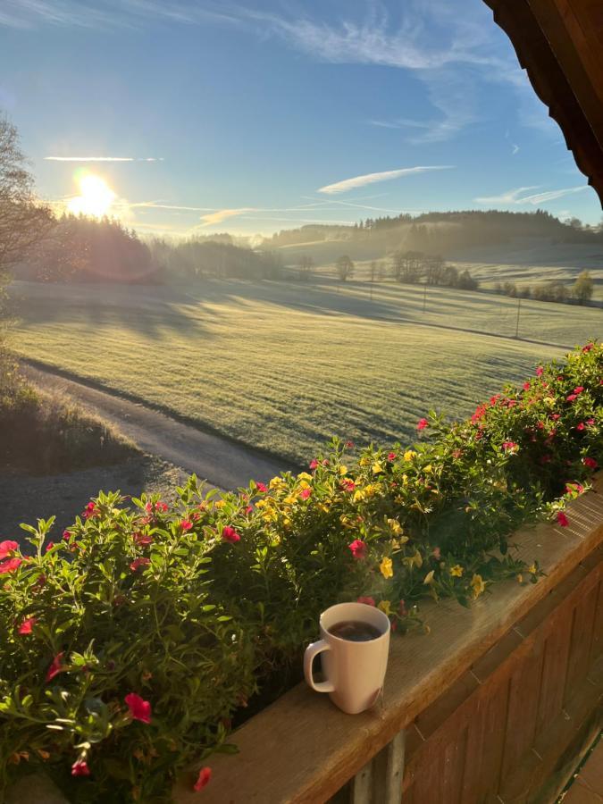 Ferienwohnung Sonnenstrahl Friesenried Kültér fotó